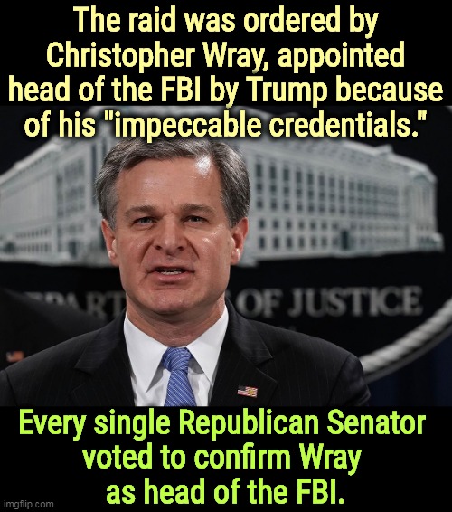 The raid was ordered by Christopher Wray, appointed head of the FBI by Trump because of his "impeccable credentials."; Every single Republican Senator 
voted to confirm Wray 
as head of the FBI. | image tagged in christopher wray,fbi,republican,nomination,senate,confirmed | made w/ Imgflip meme maker