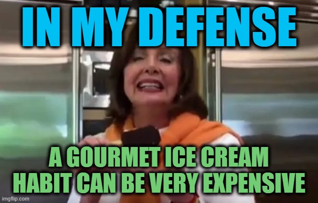 IN MY DEFENSE A GOURMET ICE CREAM HABIT CAN BE VERY EXPENSIVE | made w/ Imgflip meme maker