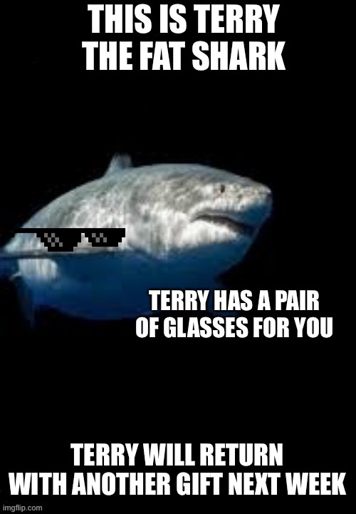 Terry the fat shark template | THIS IS TERRY THE FAT SHARK; TERRY HAS A PAIR OF GLASSES FOR YOU; TERRY WILL RETURN WITH ANOTHER GIFT NEXT WEEK | image tagged in terry the fat shark template | made w/ Imgflip meme maker