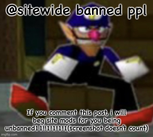 wah male | @sitewide banned ppl; If you comment this post, i will beg site mods for you being unbanned11!!1!1!1!1(screenshot doesn’t count) | image tagged in wah male | made w/ Imgflip meme maker