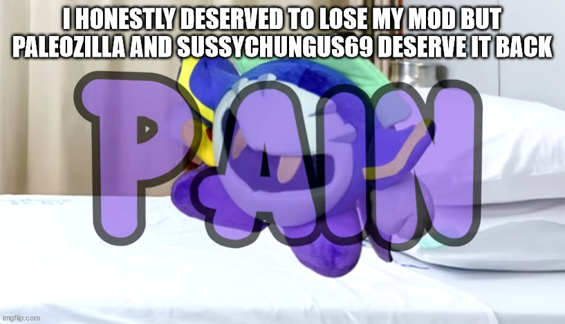 Meta Knight pain | I HONESTLY DESERVED TO LOSE MY MOD BUT PALEOZILLA AND SUSSYCHUNGUS69 DESERVE IT BACK | image tagged in meta knight pain | made w/ Imgflip meme maker