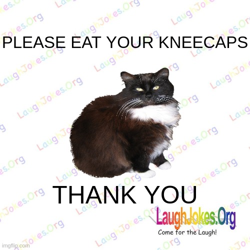 LaughJokes | PLEASE EAT YOUR KNEECAPS; THANK YOU | image tagged in laughjokes | made w/ Imgflip meme maker