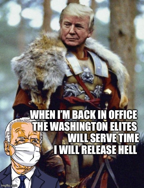 Trump will release he’ll on democrats | WHEN I’M BACK IN OFFICE 
THE WASHINGTON ELITES 
WILL SERVE TIME
I WILL RELEASE HELL | image tagged in trump s so cool,memesm,memes | made w/ Imgflip meme maker