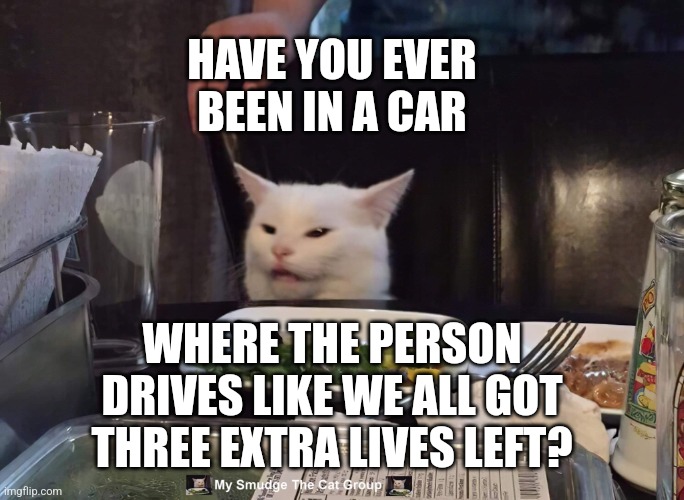 HAVE YOU EVER BEEN IN A CAR; WHERE THE PERSON DRIVES LIKE WE ALL GOT THREE EXTRA LIVES LEFT? | image tagged in smudge the cat | made w/ Imgflip meme maker