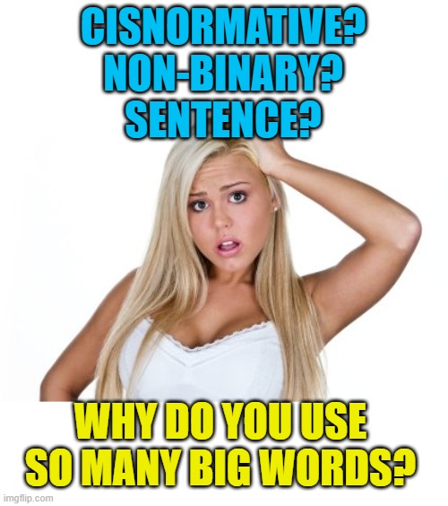 Dumb Blonde | CISNORMATIVE?
NON-BINARY?
SENTENCE? WHY DO YOU USE SO MANY BIG WORDS? | image tagged in dumb blonde | made w/ Imgflip meme maker