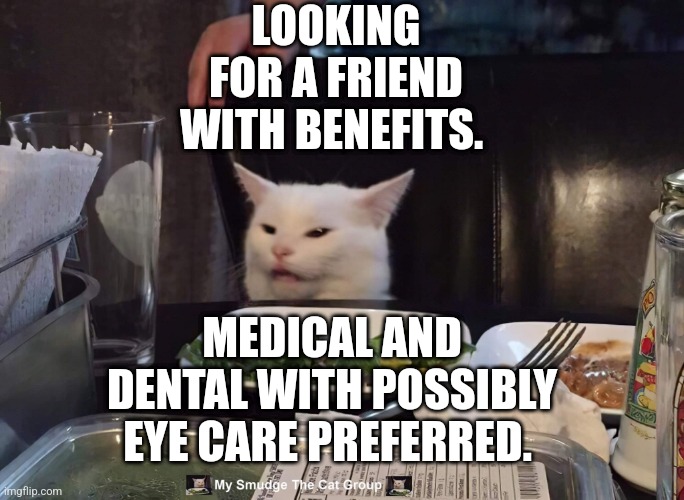LOOKING FOR A FRIEND WITH BENEFITS. MEDICAL AND DENTAL WITH POSSIBLY EYE CARE PREFERRED. | image tagged in smudge the cat | made w/ Imgflip meme maker