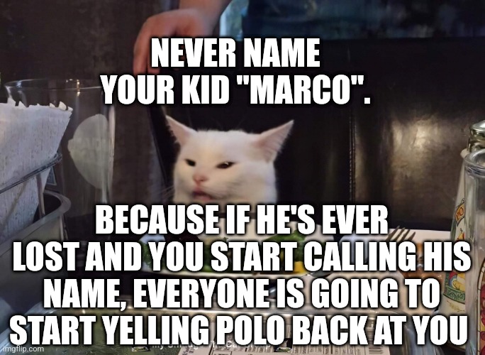 NEVER NAME YOUR KID "MARCO". BECAUSE IF HE'S EVER LOST AND YOU START CALLING HIS NAME, EVERYONE IS GOING TO START YELLING POLO BACK AT YOU | image tagged in smudge the cat | made w/ Imgflip meme maker