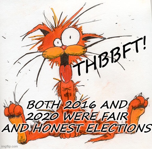 Both 2016 and 2020 were fair and honest elections - Bill the Cat | THBBFT! BOTH 2016 AND 2020 WERE FAIR AND HONEST ELECTIONS | image tagged in bill the cat,election,trump,hillary,usa,america | made w/ Imgflip meme maker