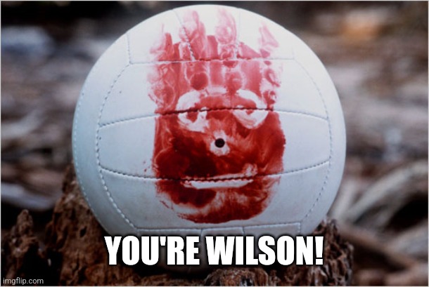 Wilson volleyball Castaway | YOU'RE WILSON! | image tagged in wilson volleyball castaway | made w/ Imgflip meme maker