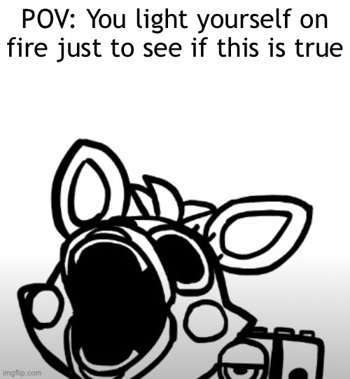 Screaming Mangle | POV: You light yourself on fire just to see if this is true | image tagged in screaming mangle | made w/ Imgflip meme maker