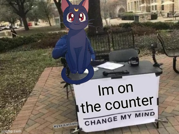 Change My Mind | Im on the counter; My sis is annoying | image tagged in memes,change my mind | made w/ Imgflip meme maker