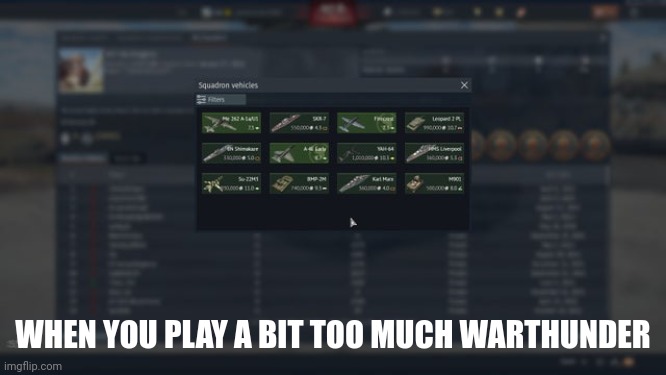 All squadron vehicles | WHEN YOU PLAY A BIT TOO MUCH WARTHUNDER | image tagged in war thunder | made w/ Imgflip meme maker