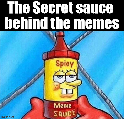 The Secret sauce 
behind the memes | image tagged in who_am_i | made w/ Imgflip meme maker