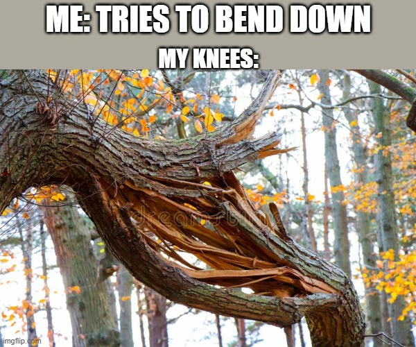 It's true though | ME: TRIES TO BEND DOWN; MY KNEES: | image tagged in relatable memes | made w/ Imgflip meme maker