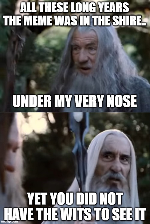 That Halfling's Leaf! | ALL THESE LONG YEARS THE MEME WAS IN THE SHIRE.. UNDER MY VERY NOSE; YET YOU DID NOT HAVE THE WITS TO SEE IT | image tagged in gandalf,saruman,lord of the rings,tolkien,memes,onememetorulethemall | made w/ Imgflip meme maker