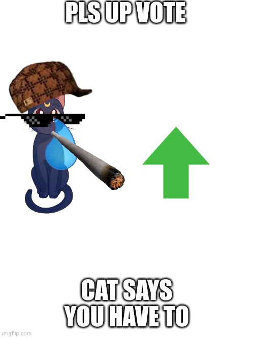 Pls pls pls up vote now I need upvotes | PLS UP VOTE; CAT SAYS YOU HAVE TO | image tagged in blank white template | made w/ Imgflip meme maker