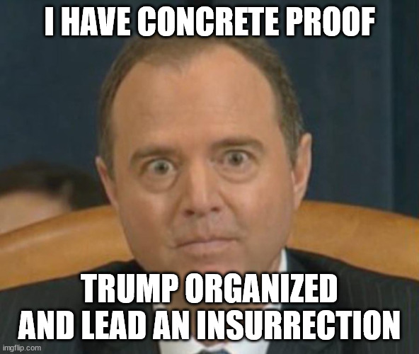 Crazy Adam Schiff | I HAVE CONCRETE PROOF TRUMP ORGANIZED AND LEAD AN INSURRECTION | image tagged in crazy adam schiff | made w/ Imgflip meme maker