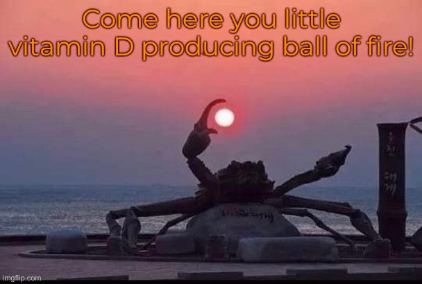 Come here you little vitamin D producing ball of fire! | made w/ Imgflip meme maker