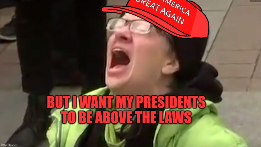 Screaming MagaT | BUT I WANT MY PRESIDENTS TO BE ABOVE THE LAWS | image tagged in screaming liberal | made w/ Imgflip meme maker