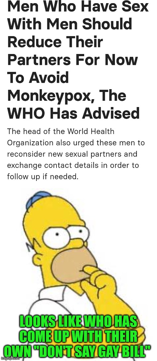 New partners? Like men with women? | LOOKS LIKE WHO HAS COME UP WITH THEIR OWN "DON'T SAY GAY BILL" | image tagged in homer simpson hmmmm | made w/ Imgflip meme maker