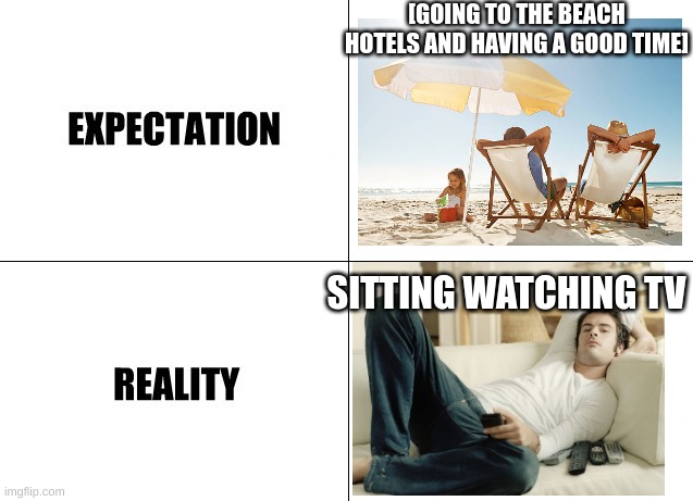 Expectation vs Reality |  [GOING TO THE BEACH HOTELS AND HAVING A GOOD TIME]; SITTING WATCHING TV | image tagged in expectation vs reality | made w/ Imgflip meme maker