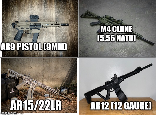 Best AR? | M4 CLONE (5.56 NATO); AR9 PISTOL (9MM); AR15/22LR; AR12 (12 GAUGE) | image tagged in basic four panel meme,guns,ar15 | made w/ Imgflip meme maker