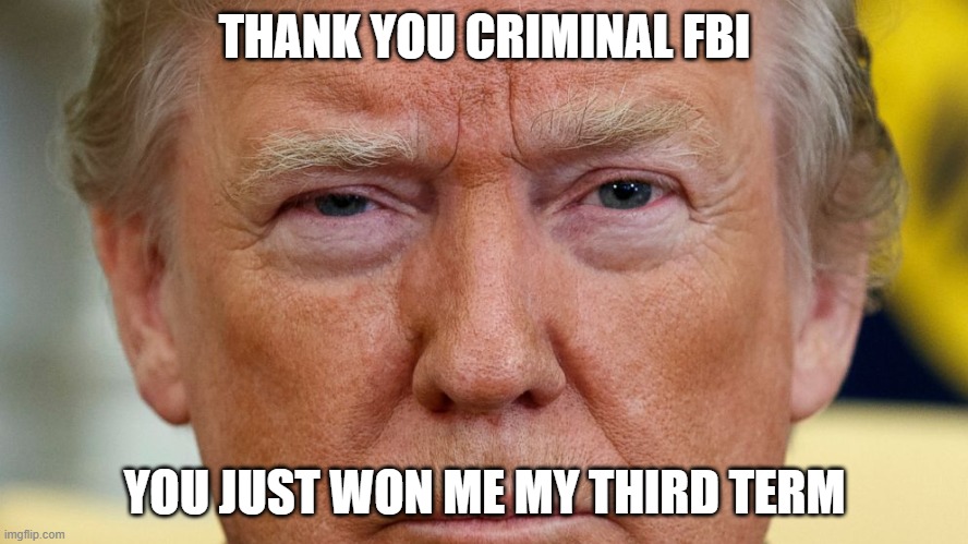 THANK YOU CRIMINAL FBI; YOU JUST WON ME MY THIRD TERM | made w/ Imgflip meme maker