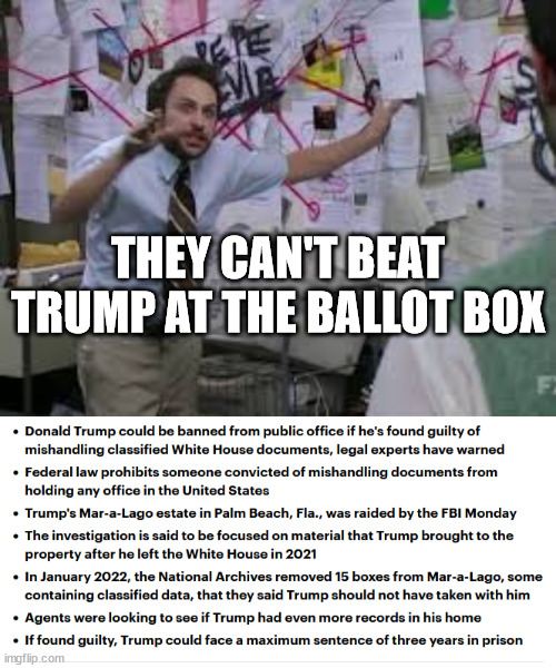 The plan... | THEY CAN'T BEAT TRUMP AT THE BALLOT BOX | image tagged in democrats,cheat | made w/ Imgflip meme maker