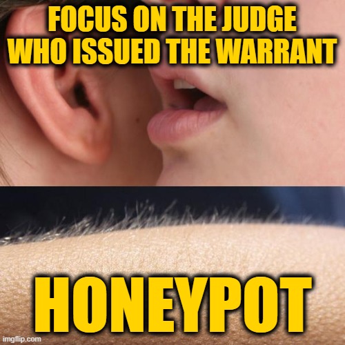 Whisper and Goosebumps | FOCUS ON THE JUDGE WHO ISSUED THE WARRANT HONEYPOT | image tagged in whisper and goosebumps | made w/ Imgflip meme maker