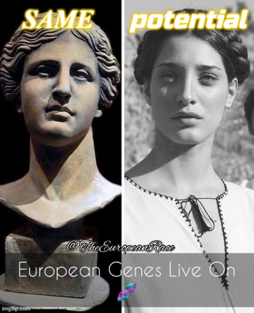 Live up to their grace and stoicism as it was their struggle that allowed you to live and reach your full potential. | potential; SAME | image tagged in europe | made w/ Imgflip meme maker