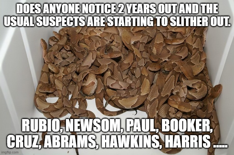 Politics | DOES ANYONE NOTICE 2 YEARS OUT AND THE USUAL SUSPECTS ARE STARTING TO SLITHER OUT. RUBIO, NEWSOM, PAUL, BOOKER, CRUZ, ABRAMS, HAWKINS, HARRIS ..... | image tagged in presidential candidates | made w/ Imgflip meme maker