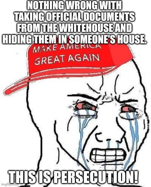 Magawhine | NOTHING WRONG WITH TAKING OFFICIAL DOCUMENTS FROM THE WHITEHOUSE AND HIDING THEM IN SOMEONE'S HOUSE. THIS IS PERSECUTION! | image tagged in conservative,trump,donald trump,republican,liberal,democrat | made w/ Imgflip meme maker