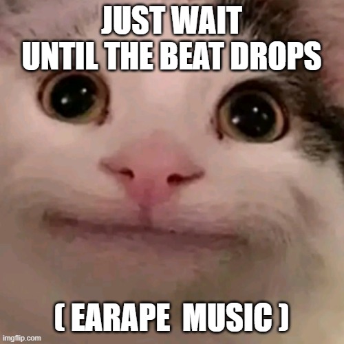 Beluga | JUST WAIT UNTIL THE BEAT DROPS ( EARAPE  MUSIC ) | image tagged in beluga | made w/ Imgflip meme maker