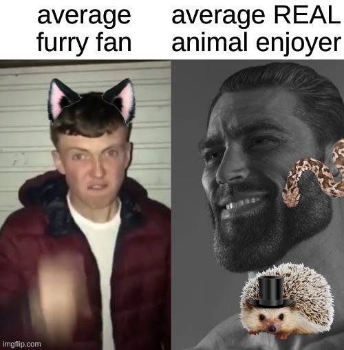 image tagged in snake,grumpy cat,anti furry,animals,average fan vs average enjoyer,giga chad | made w/ Imgflip meme maker