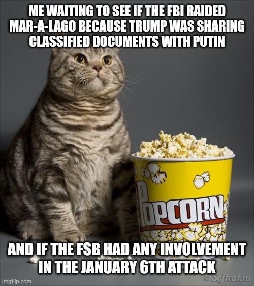 right-on-cue-corn-pop-lives-popcorn-imgflip