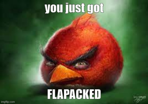 you just got flapacked (send this to someone else to totally flapack them) | you just got; FLAPACKED | image tagged in realistic red angry birds | made w/ Imgflip meme maker