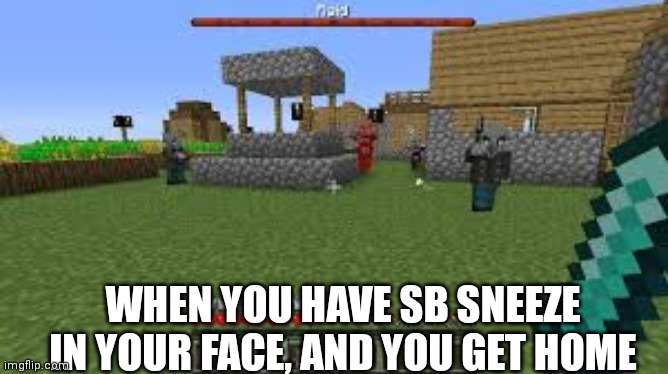 Minecraft is everywhere |  WHEN YOU HAVE SB SNEEZE IN YOUR FACE, AND YOU GET HOME | image tagged in minecraft raid | made w/ Imgflip meme maker