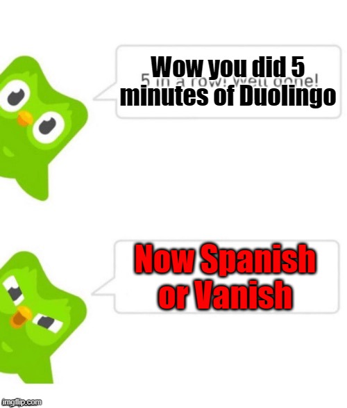 Duo gets mad | Wow you did 5 minutes of Duolingo; Now Spanish or Vanish | image tagged in duo gets mad,spanish | made w/ Imgflip meme maker