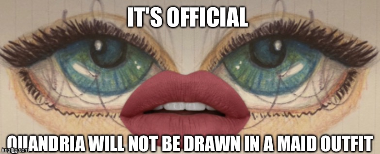 :thumbs up: | IT'S OFFICIAL; QUANDRIA WILL NOT BE DRAWN IN A MAID OUTFIT | made w/ Imgflip meme maker