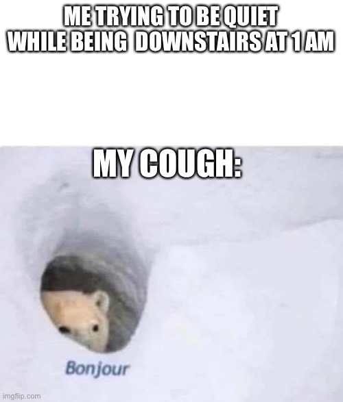 Bonjour | ME TRYING TO BE QUIET WHILE BEING  DOWNSTAIRS AT 1 AM; MY COUGH: | image tagged in bonjour | made w/ Imgflip meme maker