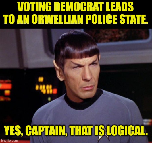 mr spock | VOTING DEMOCRAT LEADS TO AN ORWELLIAN POLICE STATE. YES, CAPTAIN, THAT IS LOGICAL. | image tagged in mr spock | made w/ Imgflip meme maker