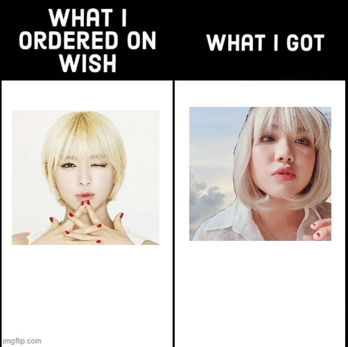What i got | image tagged in what i ordered on wish and what i got | made w/ Imgflip meme maker