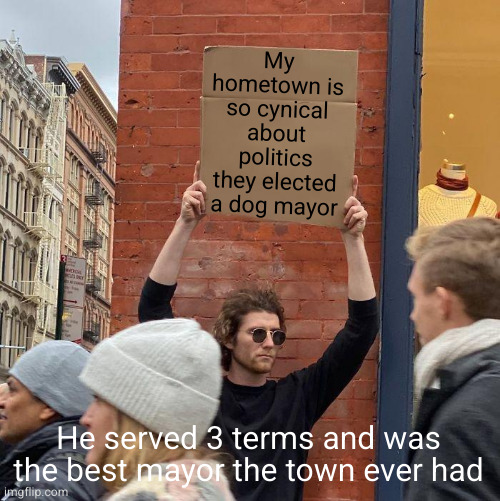 My hometown is so cynical about politics they elected a dog mayor; He served 3 terms and was the best mayor the town ever had | image tagged in memes,guy holding cardboard sign | made w/ Imgflip meme maker