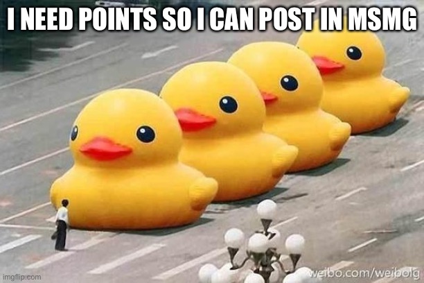 Ducks Tiananmen Square | I NEED POINTS SO I CAN POST IN MSMG | image tagged in ducks tiananmen square | made w/ Imgflip meme maker