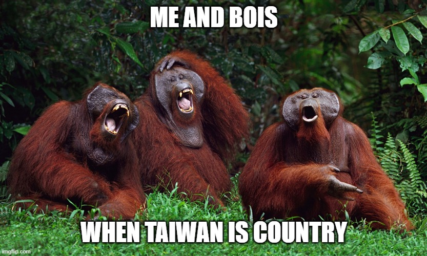 ME AND BOIS BE LIKE | ME AND BOIS; WHEN TAIWAN IS COUNTRY | image tagged in laughing orangutans | made w/ Imgflip meme maker