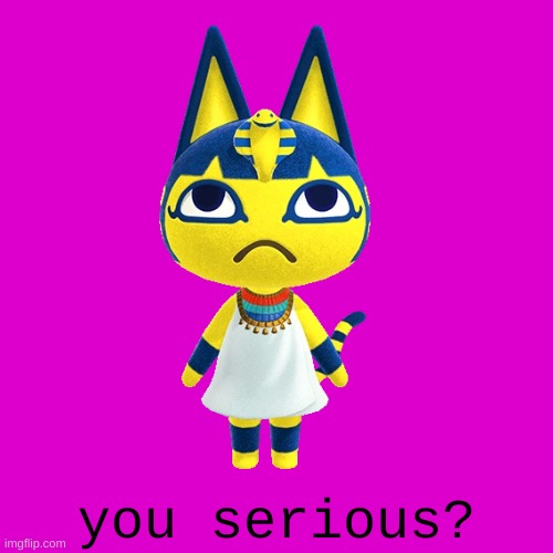 ankha cat you serious | image tagged in ankha cat you serious,memes,new template | made w/ Imgflip meme maker