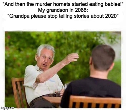 Old man telling stories | "And then the murder hornets started eating babies!"
My grandson in 2088: "Grandpa please stop telling stories about 2020" | image tagged in old man telling stories | made w/ Imgflip meme maker