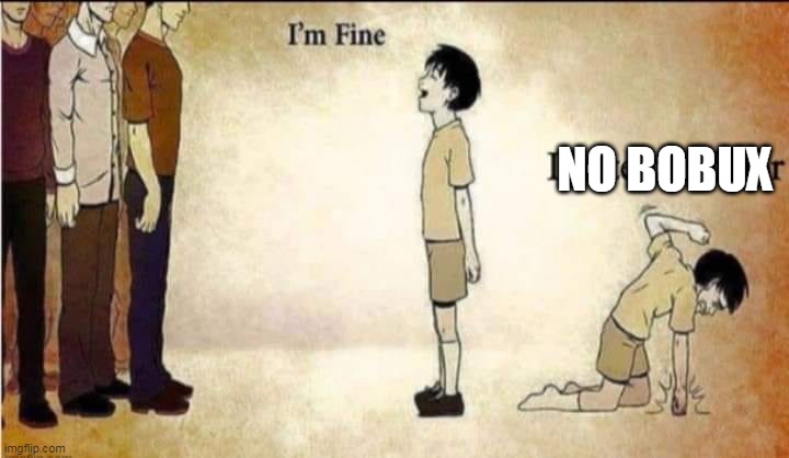 i'm fine | NO BOBUX | image tagged in i'm fine | made w/ Imgflip meme maker