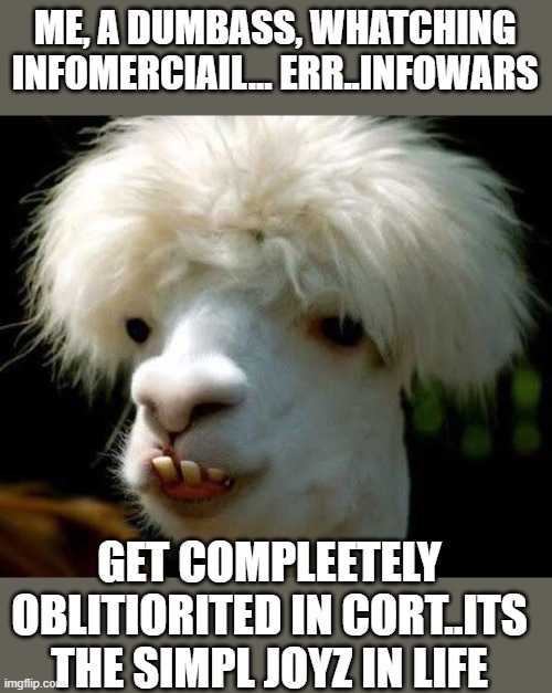 Dumbass | ME, A DUMBASS, WHATCHING INFOMERCIAIL... ERR..INFOWARS GET COMPLEETELY OBLITIORITED IN CORT..ITS THE SIMPL JOYZ IN LIFE | image tagged in dumbass | made w/ Imgflip meme maker