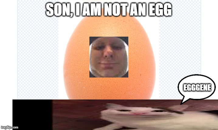 beluga saying that eugene is an egg | SON, I AM NOT AN EGG; EGGGENE | image tagged in memes,beluga | made w/ Imgflip meme maker